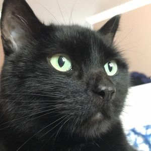 Meet your Posher, Leila